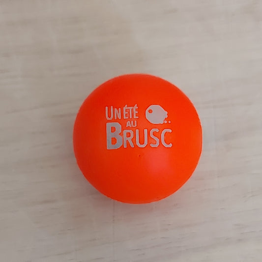 COCHONNET « Un Eté au Brusc »