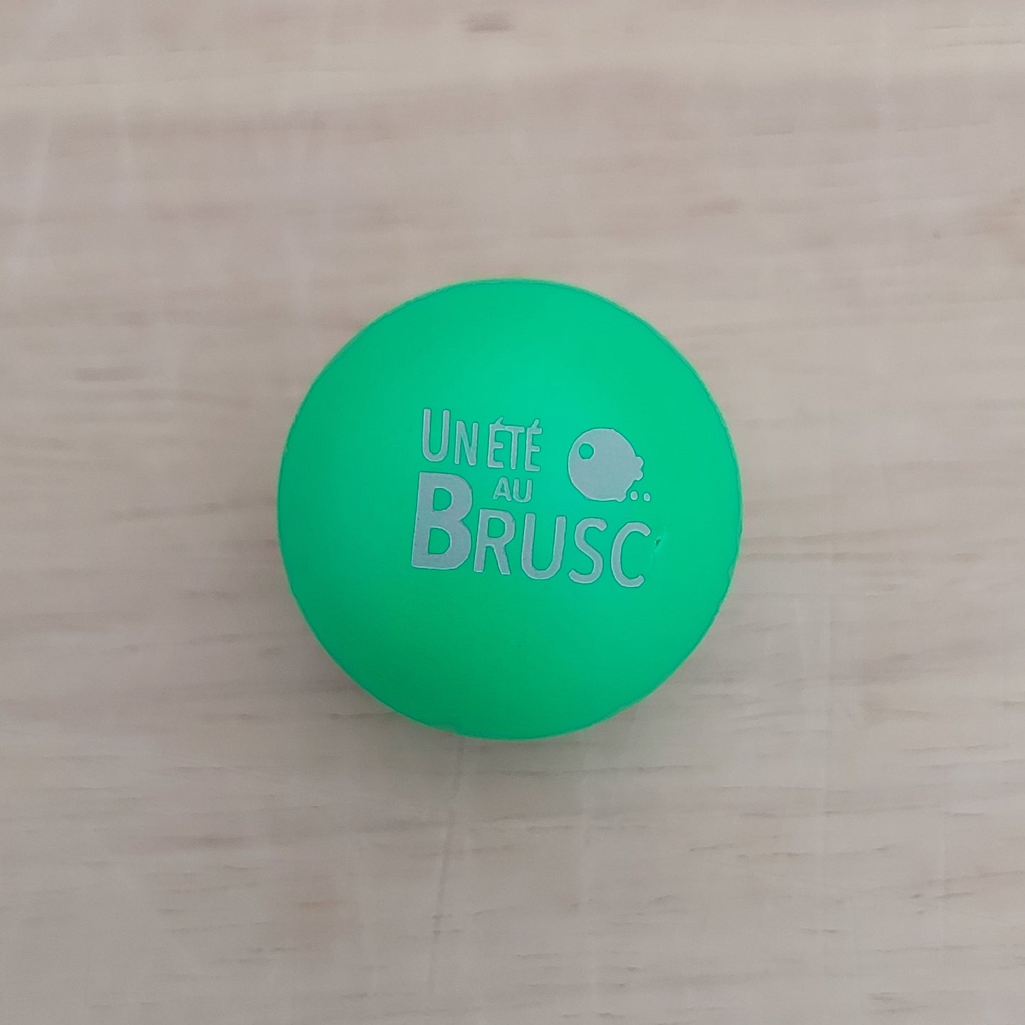 COCHONNET « Un Eté au Brusc »