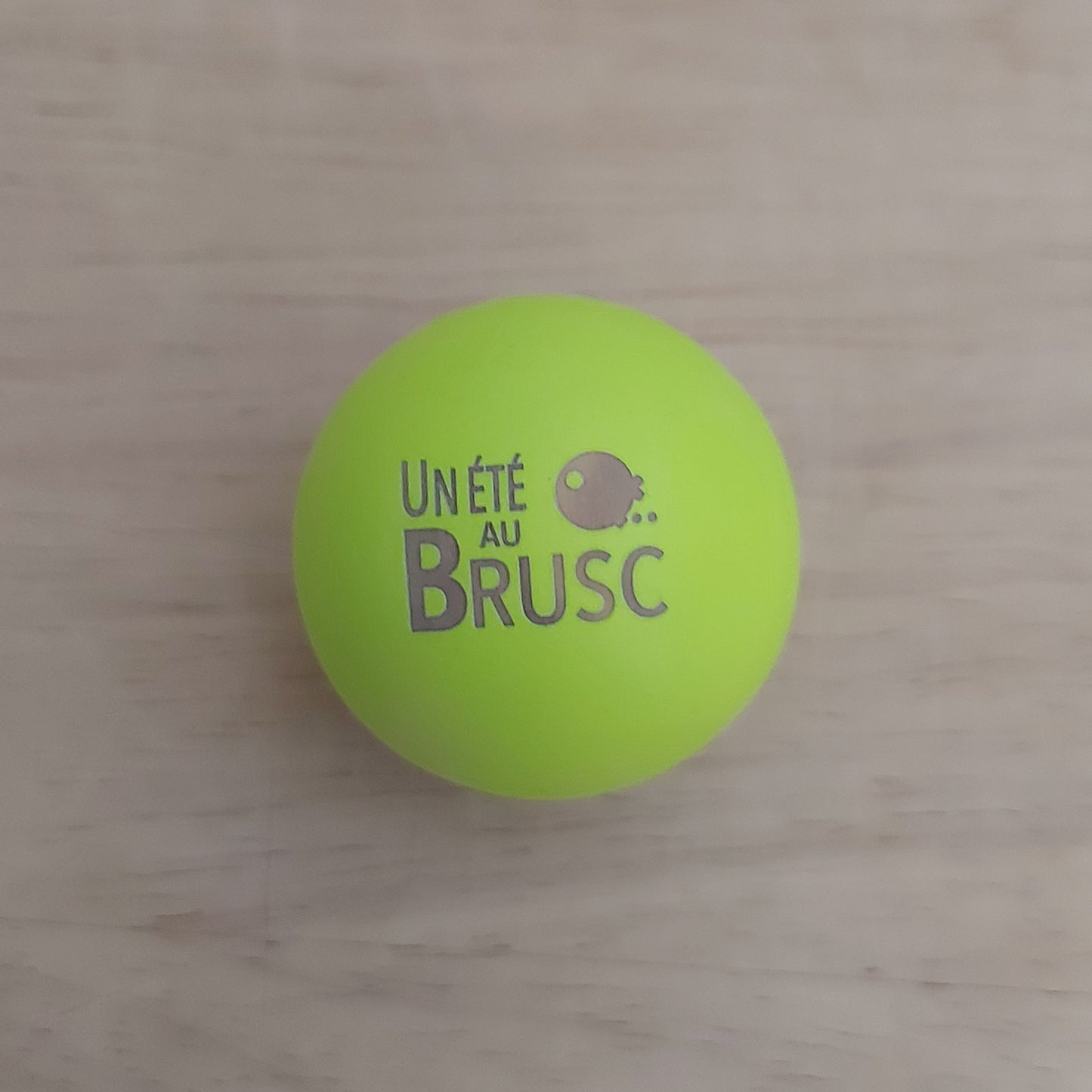 COCHONNET « Un Eté au Brusc »