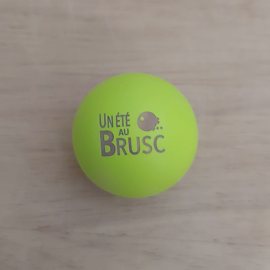 COCHONNET « Un Eté au Brusc »