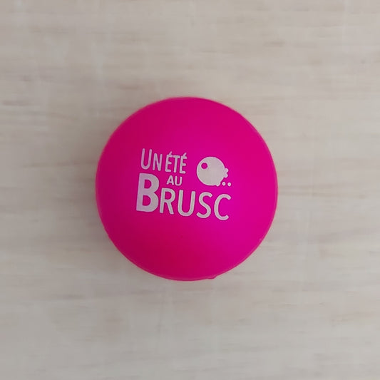 COCHONNET « Un Eté au Brusc »