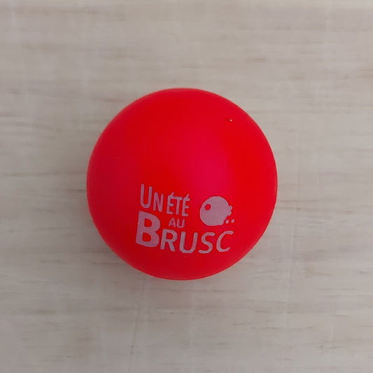 COCHONNET « Un Eté au Brusc »