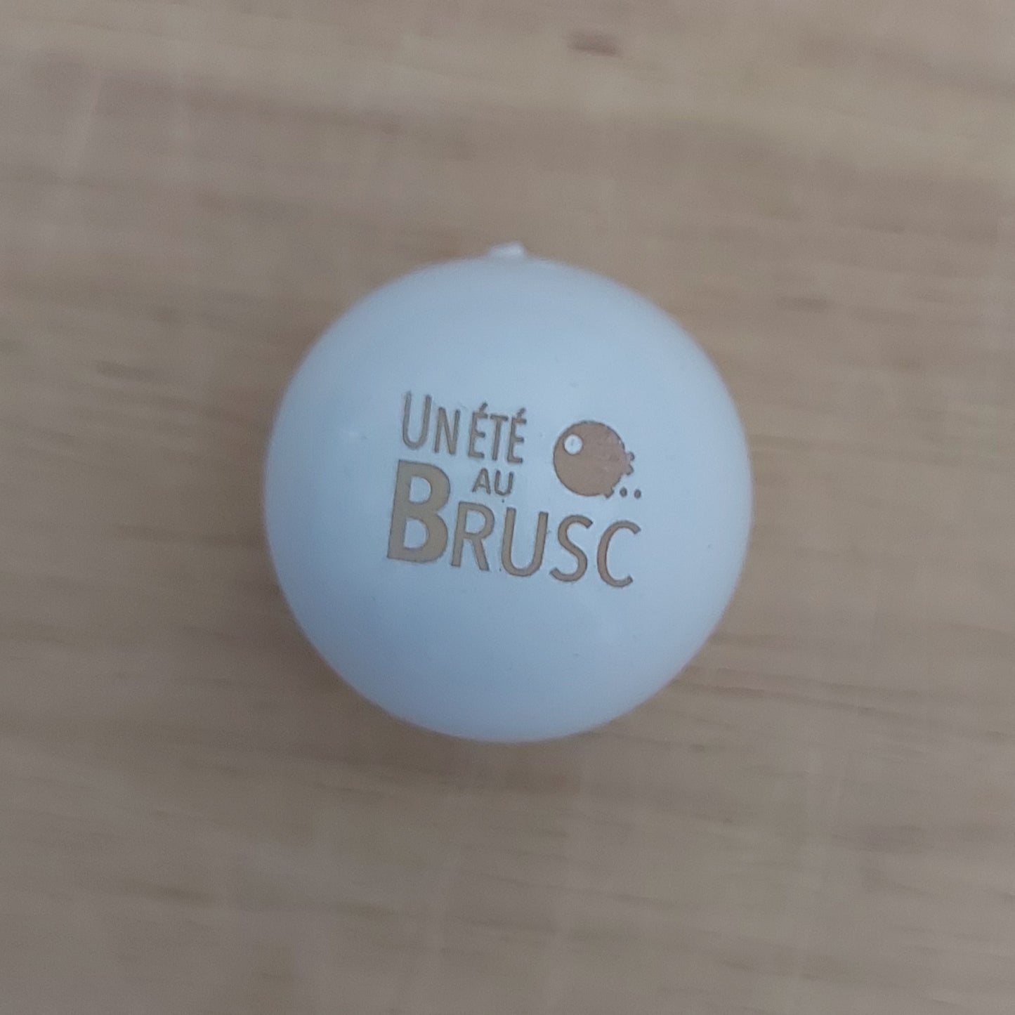 COCHONNET « Un Eté au Brusc »
