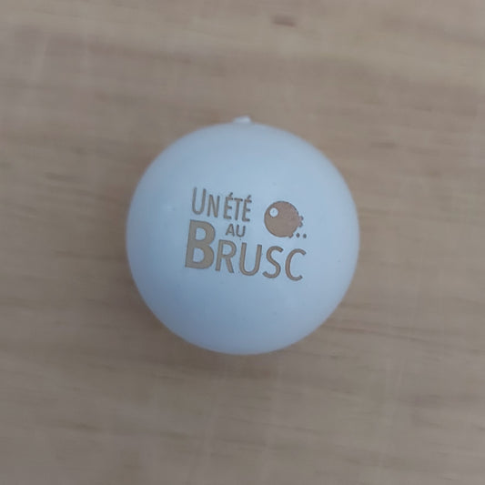 COCHONNET « Un Eté au Brusc »