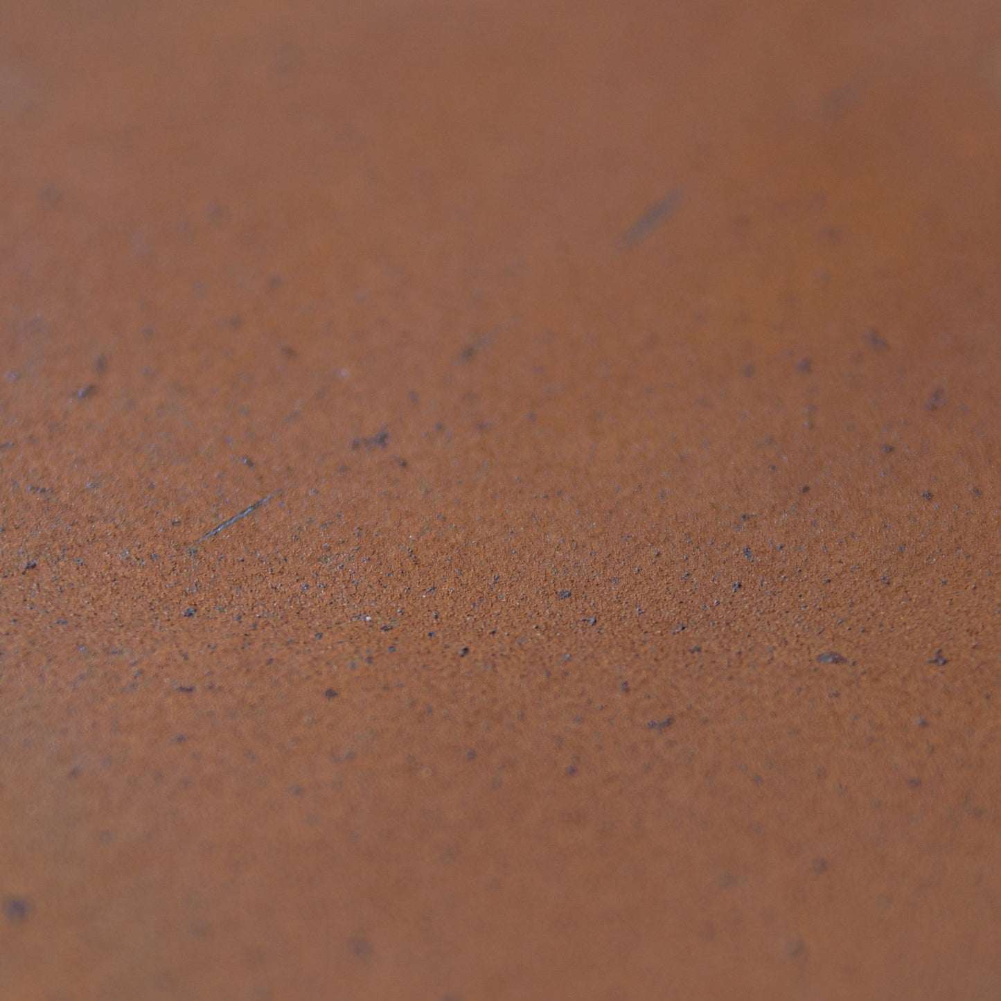 POISSON ARÊTE A POSER - Acier CORTEN