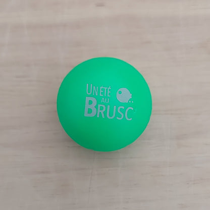COCHONNET « Un Eté au Brusc »
