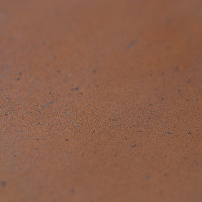 POISSON ARÊTE A POSER - Acier CORTEN